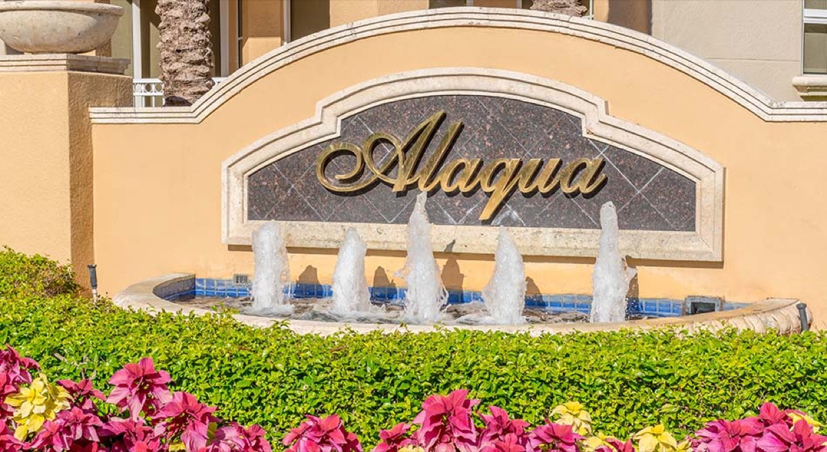 Alaqua, foto 3