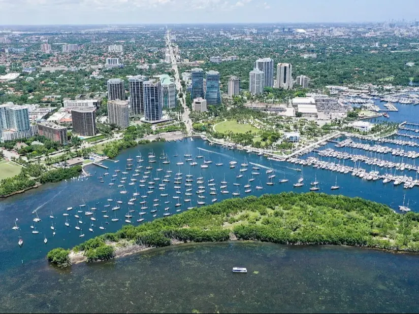 Coconut Grove